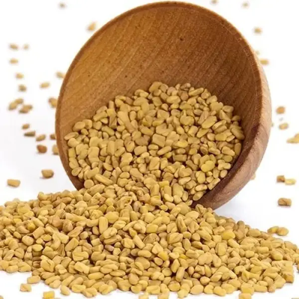 Fenugreek