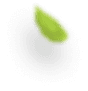GAT Organic Foods